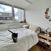 Photo 5: The room is much bigger than this!