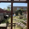 Photo 4: garden