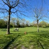 Photo 5: Direct Park Access to Russia Dock Woodlands