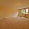 Photo 4: Living room