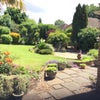 Photo 9: Garden