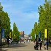 Photo 2: Woolwich Riverside