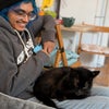 Photo 3: Foster cat - wont be coming with me!