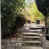 Photo 4: Shared garden