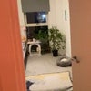 Photo 2: Room