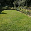 Photo 9: Large sunny garden 