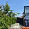 Photo 2: Flat's private large roof terrave