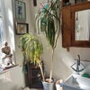Photo 4: Shared bathroom