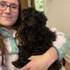 Photo 7: My family dog! Will not be joining me but would love to have a house with a dog…