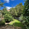 Photo 9: Tranquil garden
