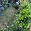 Photo 4: Garden