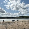Photo 7: I love spending time on the beach!