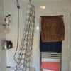 Photo 3: Shower