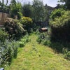 Photo 6: garden