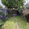 Photo 8: Garden 
