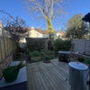 Photo 7: Garden/Patio