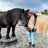 Photo 4: I have a soft spot for horses! So if you have horses or are involved with them, i would love to help