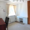 Photo 5: Additional study