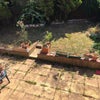 Photo 8: Garden