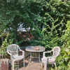 Photo 9: Garden