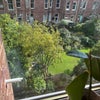 Photo 7: Kitchen view + Garden
