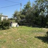 Photo 11: Garden