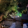 Photo 6: Garden