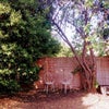 Photo 13: side of garden with seating