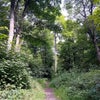 Photo 9: Within 5 minutes walk