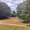 Photo 9: BACK OF HOUSE LEADING TO PARK
