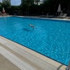 Photo 7: floating in a pool