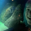 Photo 8: aquarium