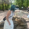 Photo 2: perting a goat in sweden