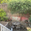 Photo 9: Garden 