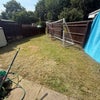 Photo 9: Rear Garden 