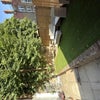 Photo 7: Garden