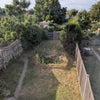 Photo 7: Garden