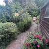 Photo 2: Garden