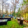 Photo 3: Garden