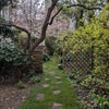 Photo 8: Part of our garden