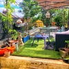 Photo 2: Terrace 