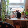 Photo 2: bug