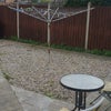 Photo 6: Outside Space