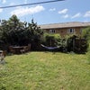 Photo 6: Backyard