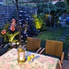 Photo 4: Garden