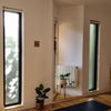 Photo 3: Wooden floor and plenty of windows