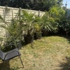 Photo 9: Garden
