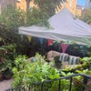 Photo 9: The Garden - view from back door.