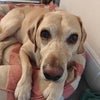 Photo 3: Rocky