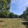 Photo 6: London Fields